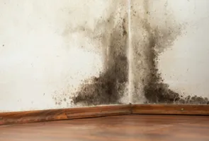 Flood Damage Restoration Drywall Water Damage Repair