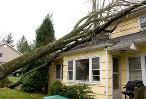 Flood Damage Restoration Storm Damage Restoration