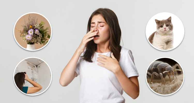 HEPA air filters remove different types of allergens