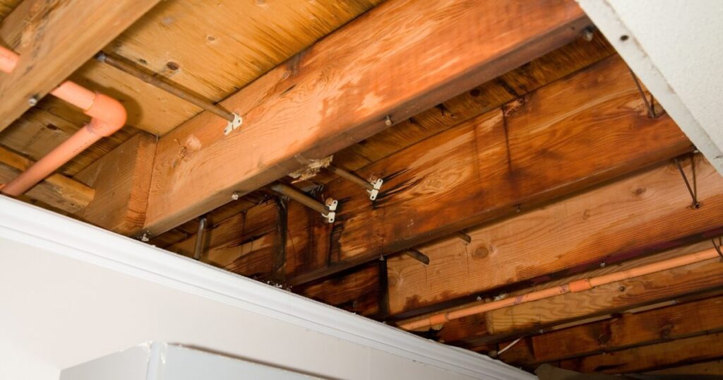 Signs of Hidden Water Damage in Your Home Musty Odors