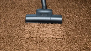 Read more about the article How Much Does Rug Cleaning Cost in Orlando VS Winter Garden?
