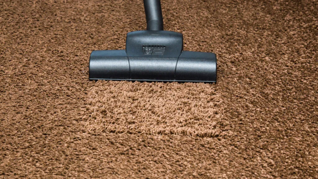 Read more about the article How Much Does Rug Cleaning Cost in Orlando VS Winter Garden?