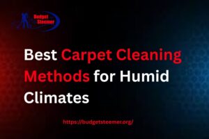 Read more about the article Best Carpet Cleaning Methods for Humid Climates