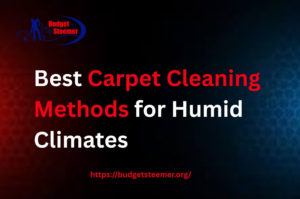 You are currently viewing Best Carpet Cleaning Methods for Humid Climates