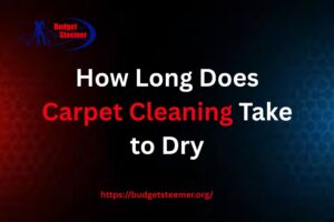 Read more about the article How Long Does Carpet Take to Dry after Cleaning in Orlando, FL?
