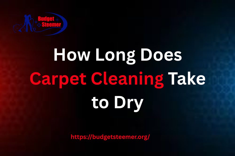 You are currently viewing How Long Does Carpet Take to Dry after Cleaning in Orlando, FL?