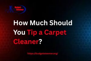 Read more about the article How Much Should You Tip a Carpet Cleaner?