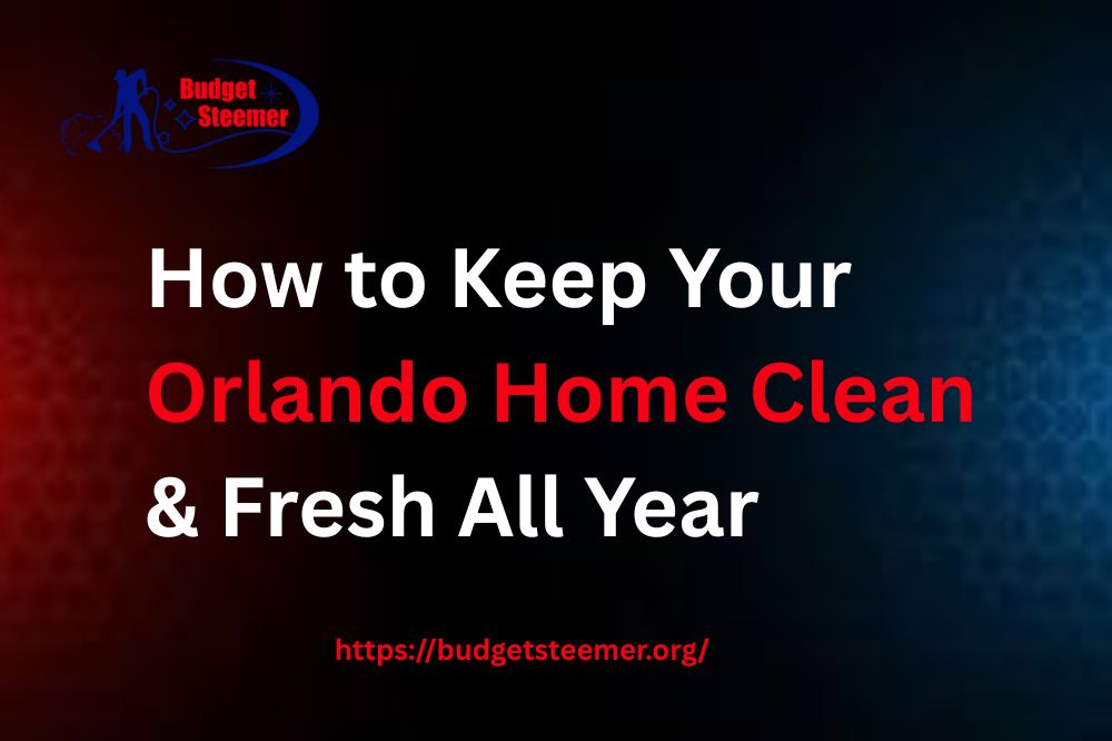 Read more about the article How to Keep Your Orlando Home Clean and Fresh All Year