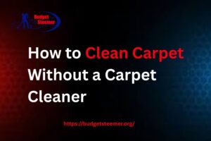Read more about the article How to Clean Carpet Without a Carpet Cleaner