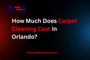 Read more about the article How Much Does Carpet Cleaning Cost in Orlando?