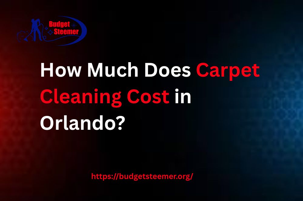 Read more about the article How Much Does Carpet Cleaning Cost in Orlando?