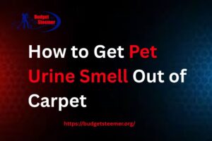 Read more about the article How to Get Pet Urine Smell Out of Carpet