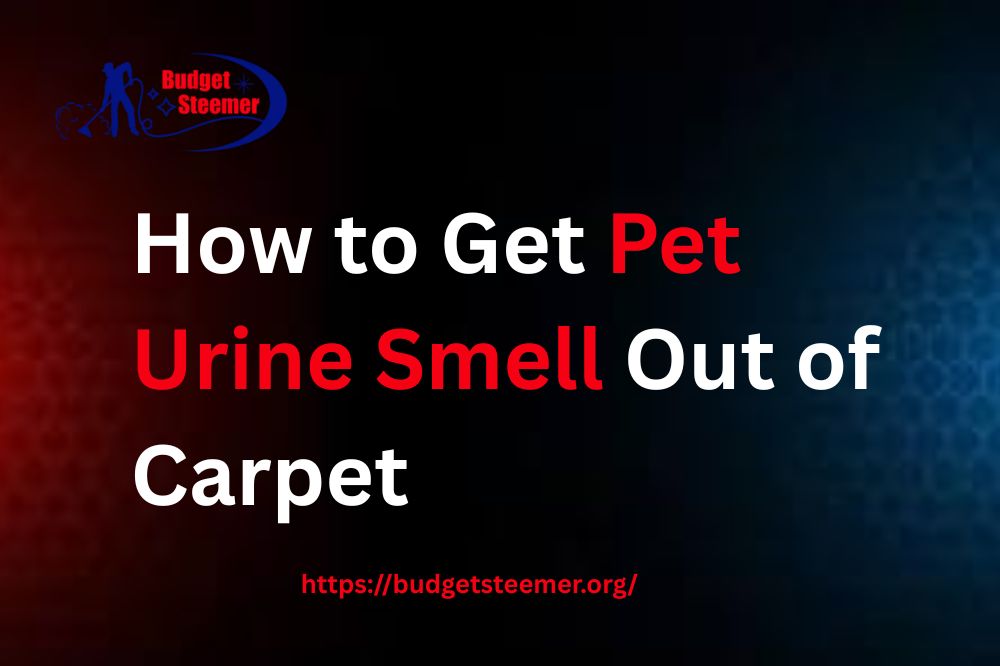 Read more about the article How to Get Pet Urine Smell Out of Carpet